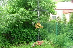DSCF1223