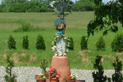 DSCF1538