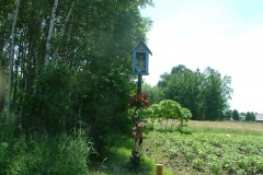 DSCF1546