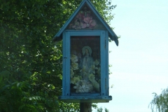 DSCF1549