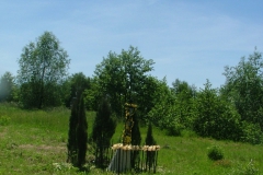 DSCF1561