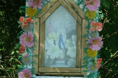 DSCF1570
