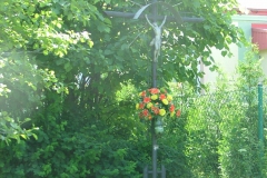 DSCF1573
