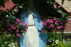 DSCF1581