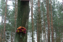 DSCF3960