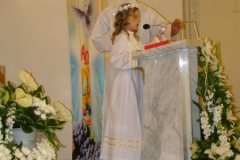 DSC07511