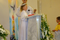 DSC07514